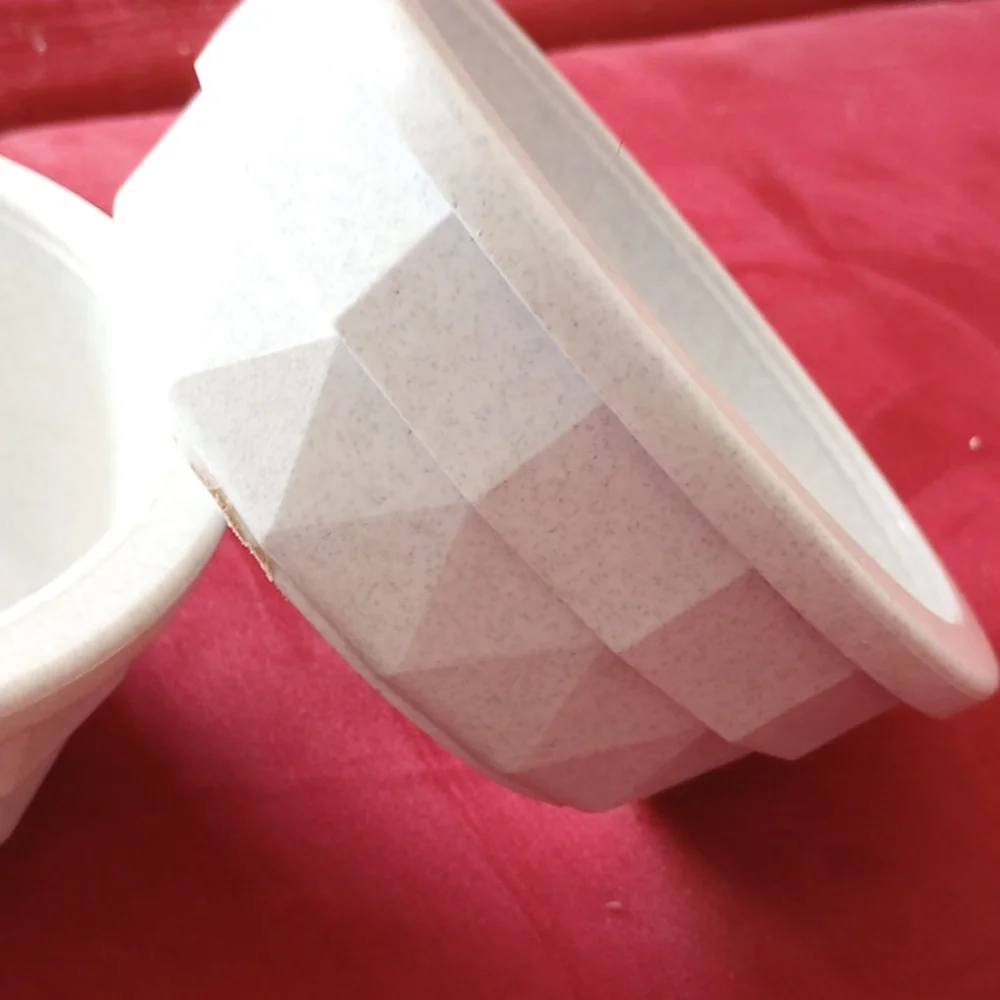 6 inch cat bowls (two)